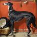 Eos, A Favorite Greyhound, the Property of H.R.H. Prince Albert